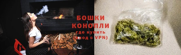 ПСИЛОЦИБИНОВЫЕ ГРИБЫ Заводоуковск