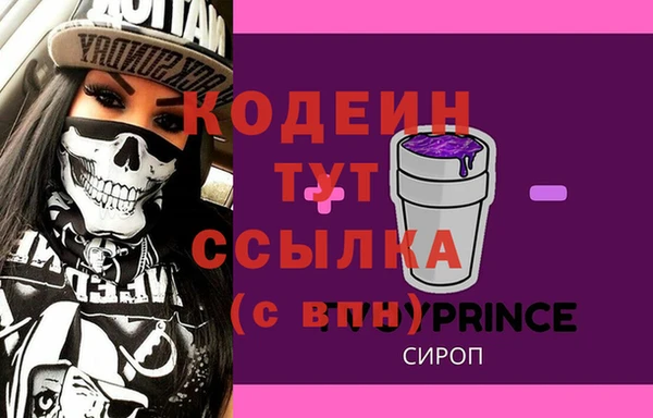 стаф Елабуга