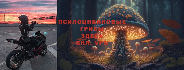 соль курить ск Ельня
